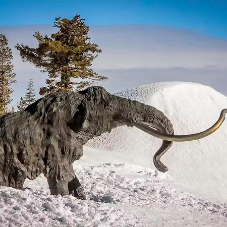 Lodestar Cabins Mammoth Lakes Dış mekan fotoğraf